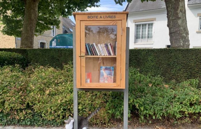 where
      to
      install
      new
      book
      boxes
      in
      Fougères?