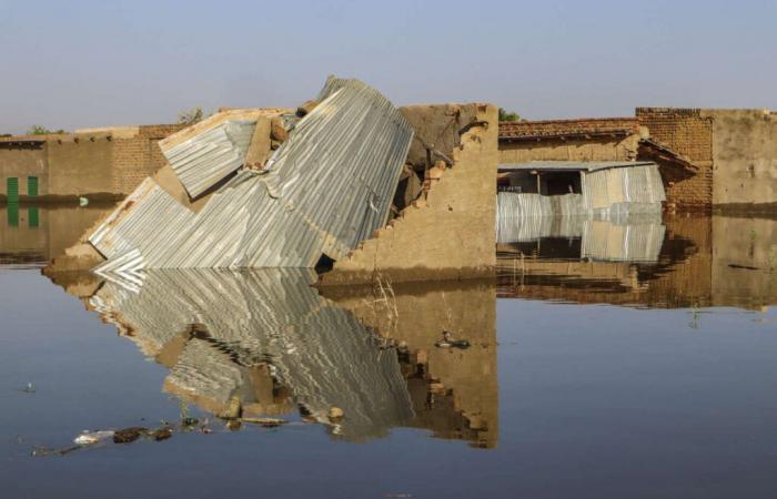 In
      Chad,
      floods
      have
      caused
      341
      deaths
      and
      1.5
      million
      homeless
      people
      since
      July