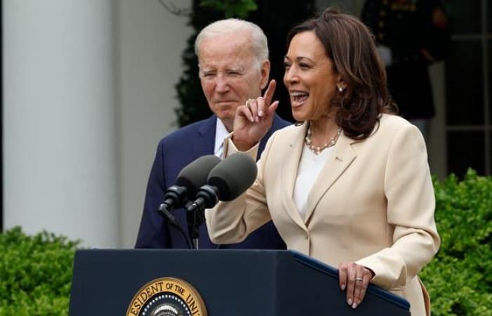 Immigration,
      abortion…
      What
      did
      Kamala
      Harris
      do
      during
      her
      four
      years
      as
      vice-president?