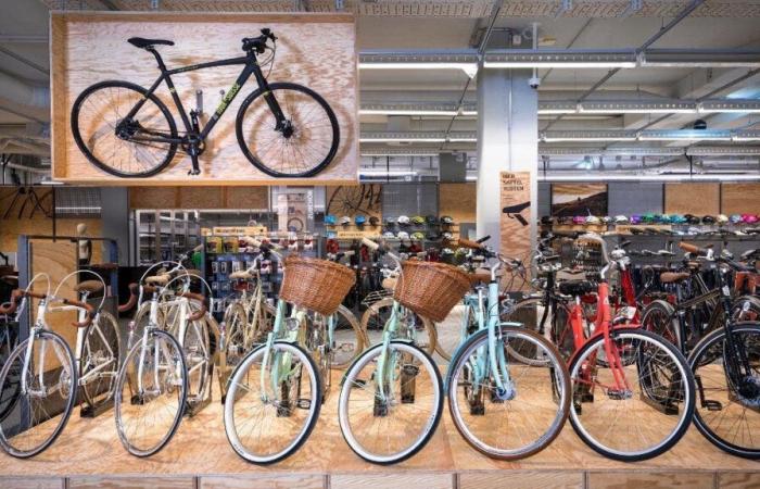 Thömus
      takes
      over
      Bikeworld:
      Migros
      sells
      more
      stores