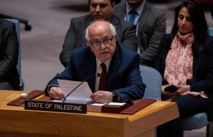 Palestinians
      take
      new
      place
      in
      UN
      General
      Assembly