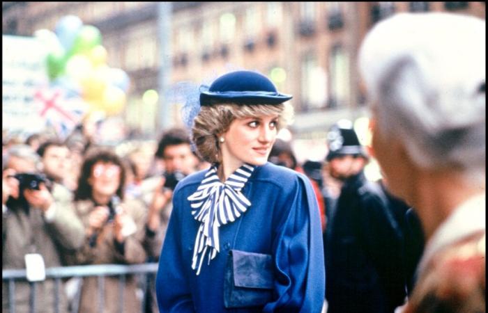 Lady
      Diana:
      What
      she
      would
      never
      have
      allowed
      to
      happen
      if
      she
      were
      still
      alive