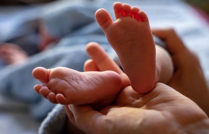 She
      is
      looking
      for
      the
      identity
      of
      the
      baby
      photographed
      next
      to
      her
      at
      birth
      in
      1986.