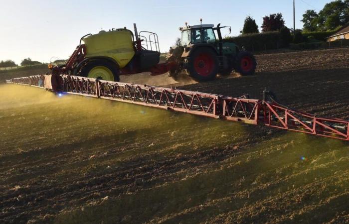 European
      Court
      seized
      against
      authorisation
      of
      controversial
      herbicide