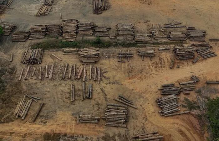 Brazil
      calls
      for
      postponement
      of
      European
      law
      on
      imported
      deforestation