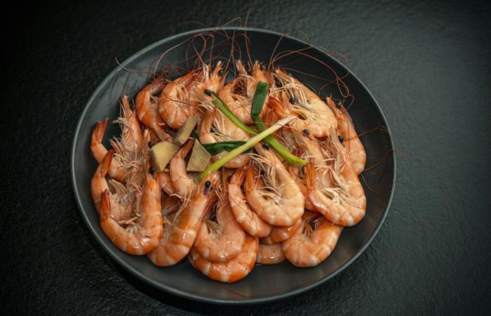 These
      shrimps
      contaminated
      with
      the
      “flesh-eating”
      bacteria
      should
      no
      longer
      be
      eaten