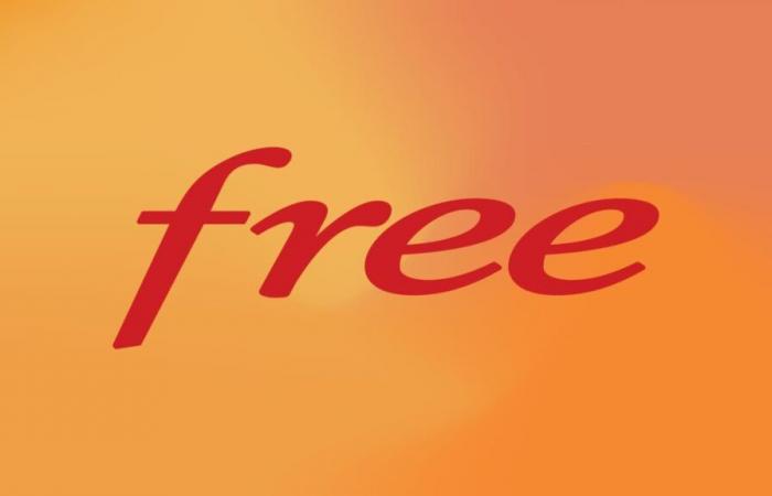 This
      internet
      box
      from
      Free
      is
      taking
      advantage
      of
      an
      offer
      that
      no
      one
      saw
      coming