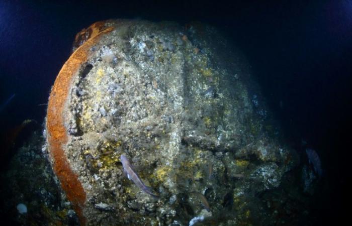 Wreck
      of
      French
      ship
      sunk
      in
      1856
      found
      at
      bottom
      of
      North
      Atlantic