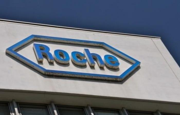 Stock
      recommendation:
      This
      is
      how
      Goldman
      Sachs
      Group
      Inc.
      rates
      Roche
      shares
      |
      12.09.24