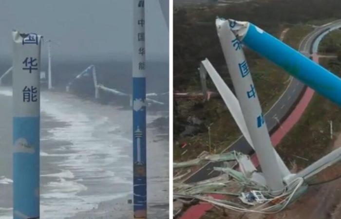 Typhoon
      Yagi
      destroys
      ‘storm-resistant’
      wind
      turbines
      in
      China