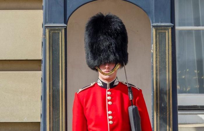 Why
      the
      British
      Royal
      Guard
      might
      be
      forced
      to
      change
      its
      furry
      hats?