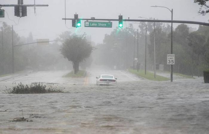 Live
      on
      TV,
      man
      saves
      life
      of
      driver
      trapped
      in
      floods