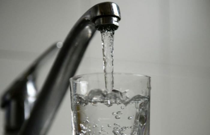 More
      than
      600
      people
      affected
      by
      gastroenteritis
      after
      drinking
      tap
      water
      in
      Haute-Loire