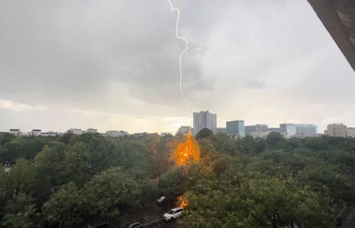 Lightning
      strikes
      a
      tree
      in
      Montparnasse
      cemetery…
      despite
      the
      presence
      of
      the
      tower
      next
      to
      it