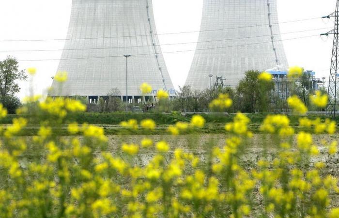 Italian
      government
      rethinks
      its
      approach
      to
      nuclear
      phase-out