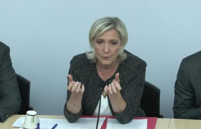 For
      her
      parliamentary
      return,
      Marine
      Le
      Pen
      calls
      for
      a
      new
      dissolution