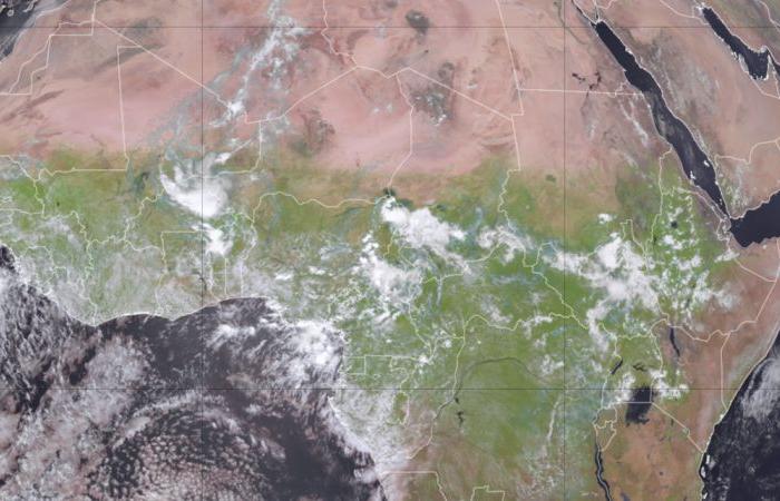 The
      Sahara
      Desert
      is
      greening
      as
      unusual
      storms
      hit
      parts
      of
      Africa