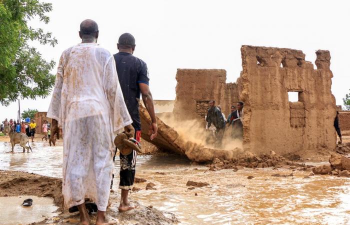 The
      Sahara
      Desert
      is
      greening
      as
      unusual
      storms
      hit
      parts
      of
      Africa