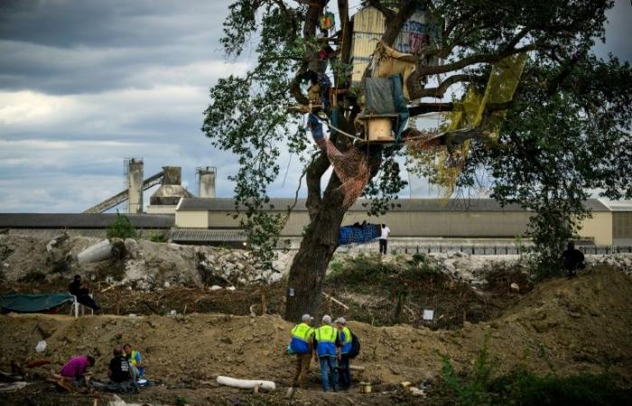 a
      last
      bastion
      of
      “squirrels”
      on
      the
      path
      of
      the
      future
      highway