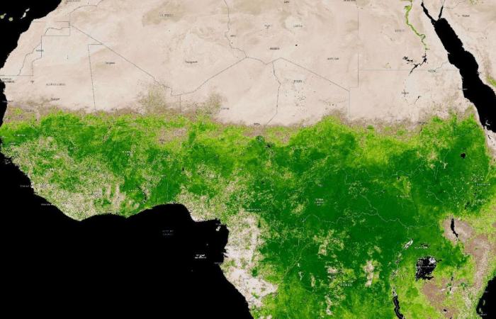 The
      Sahara
      Desert
      is
      greening
      as
      unusual
      storms
      hit
      parts
      of
      Africa