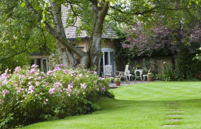 this
      exceptional
      house
      a
      stone’s
      throw
      from
      Fontainebleau
      in
      which
      they
      lived