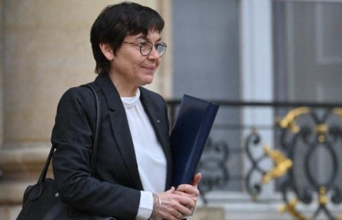 The
      Constitutional
      Council
      pins
      Senator
      Annick
      Girardin
      on
      her
      campaign
      account:
      News