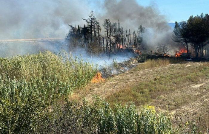 Series
      of
      fires
      in
      the
      Pyrénées-Orientales:
      a
      day
      on
      all
      fronts
      for
      the
      firefighters