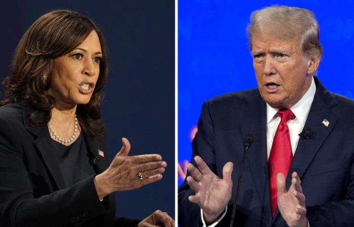 ‘Serious
      energy
      deflation’
      is
      coming
      whether
      Trump
      or
      Harris
      wins,
      says
      analyst