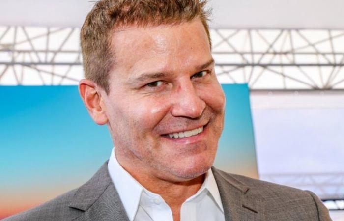 Is
      David
      Boreanaz
      up
      for
      a
      sequel?
      He
      answers
      us