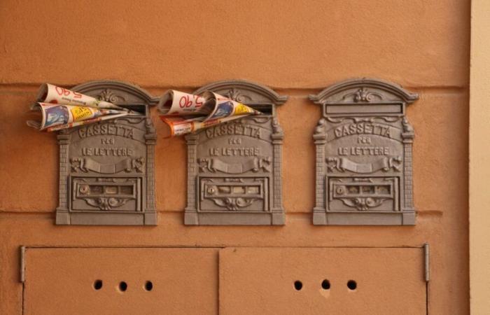 What
      rules
      govern
      the
      distribution
      of
      advertisements
      in
      your
      mailboxes?