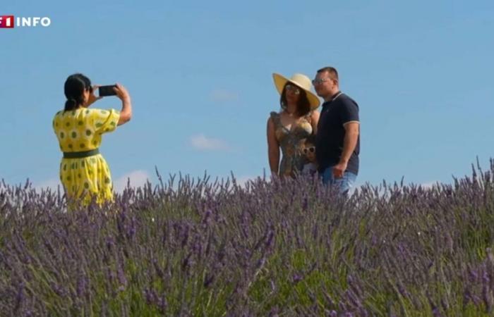 “We
      are
      a
      microscopic
      point
      on
      the
      world
      map”:
      these
      small
      French
      villages
      have
      become
      stars
      on
      social
      networks