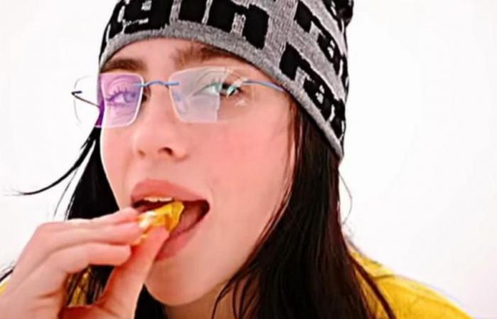 Billie
      Eilish’s
      mother
      is
      very
      well-known
      among
      gamers
      without
      them
      knowing
      it:
      she
      played
      this
      character
      in
      a
      very
      famous
      video
      game