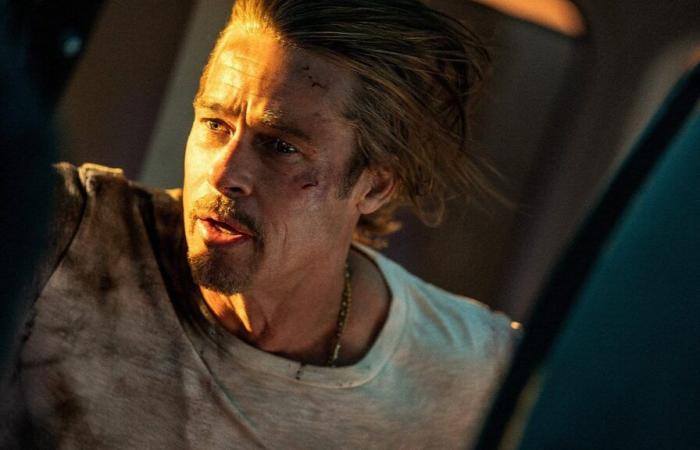 Brad
      Pitt
      takes
      on
      assassins
      in
      this
      action
      film
      from
      the
      director
      of
      John
      Wick