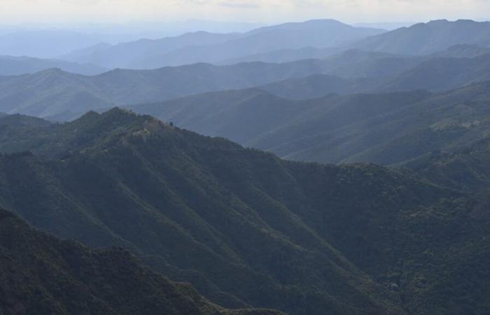 The
      Alti
      Aigoual
      ski
      resort
      in
      the
      Cévennes
      launches
      an
      online
      kitty
      to
      survive