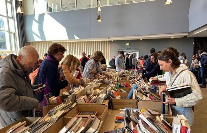 In
      Vannes,
      there
      was
      a
      crowd
      at
      the
      media
      library
      sale