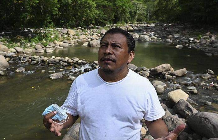 Environmentalist
      Shot
      Dead,
      President
      Promises
      ‘Justice’