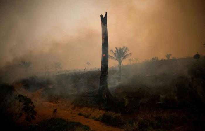 Brazil
      suffocates
      under
      smoke
      from
      record
      wildfires