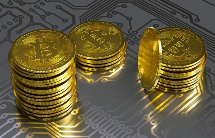 Is
      Bitcoin
      a
      Millionaire
      Maker?