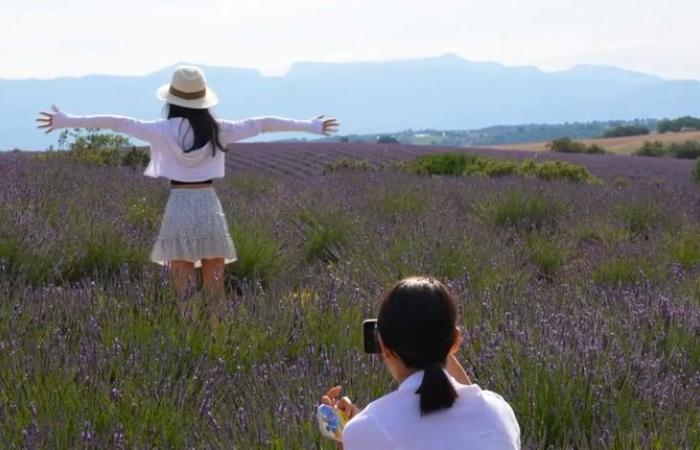 “We
      are
      a
      microscopic
      point
      on
      the
      world
      map”:
      these
      small
      French
      villages
      have
      become
      stars
      on
      social
      networks