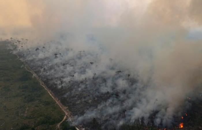 Brazil
      suffocates
      under
      smoke
      from
      record
      wildfires