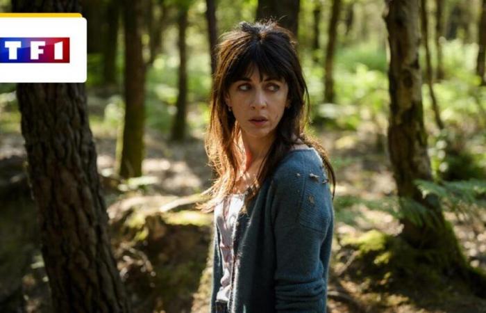 What
      is
      the
      police
      series
      with
      Nolwenn
      Leroy
      set
      in
      Brittany
      worth?