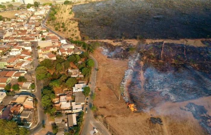 In
      Brazil,
      drought
      and
      exceptional
      fires
      worry
      the
      agricultural
      sector