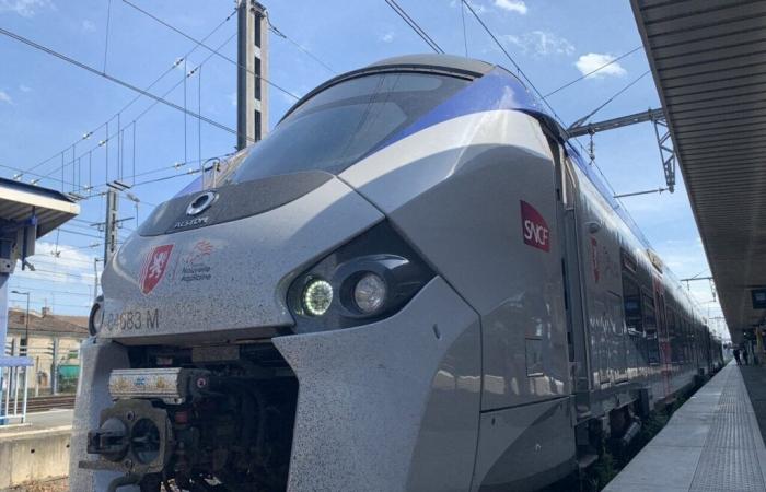 Hit by a train in Sainte-Bazeille, a teenager evacuated between life and death