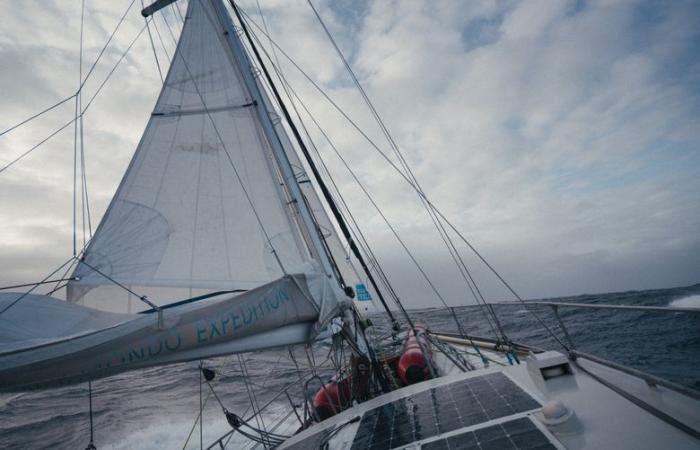 VIDEO. “It’s important to give hope”… From a polar expedition to the grape harvest in Gers, he prepares the screening of a film