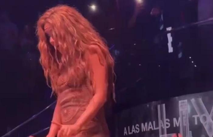 VIDEO. “Simply disgusting”: Shakira walks off stage after fan films under her dress