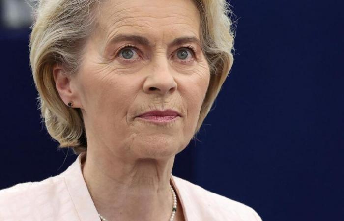 Commissione Europea, I commissioner and the commissioner scelti da von der Leyen: Fitto vice presidente executive with delegate to Coesione and Riforme