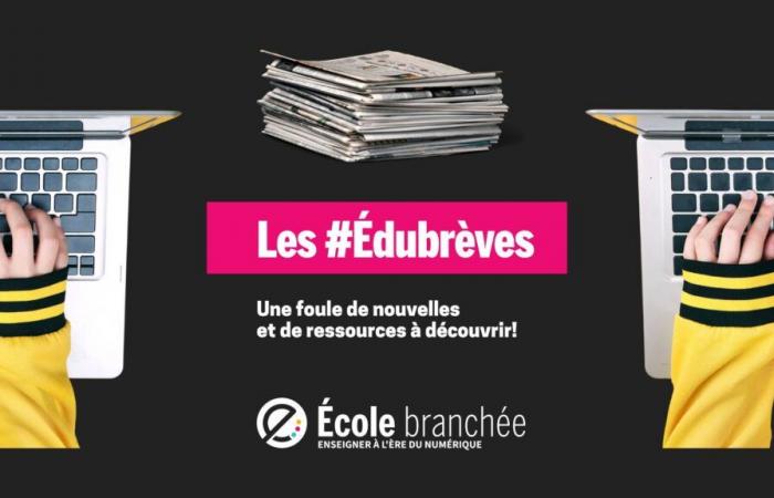 #Édubrèves – September 17, 2024 edition