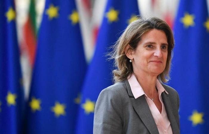 Who is Teresa Ribeira, the new European Commissioner for Competition?