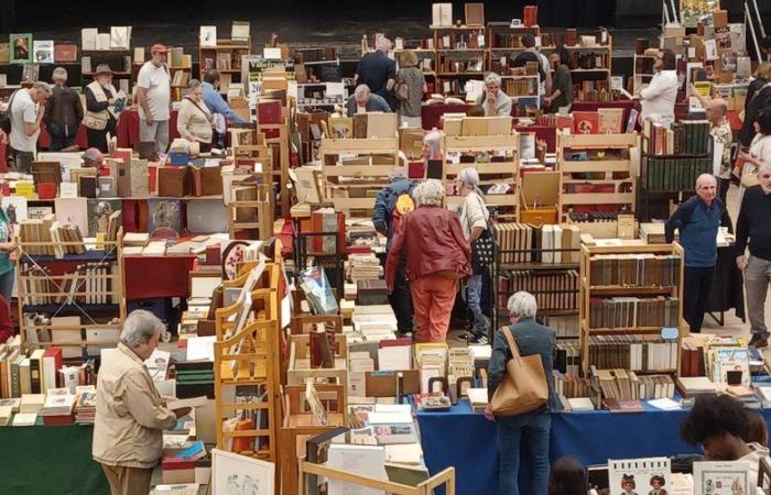 Pearls at the Old and Modern Book Fair