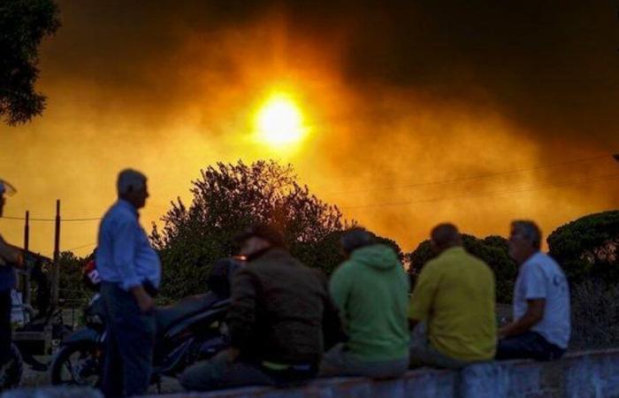 Series of fires: Portugal calls for help as it grapples with wildfires